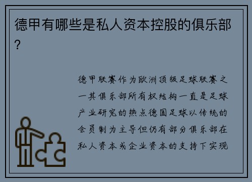 德甲有哪些是私人资本控股的俱乐部？
